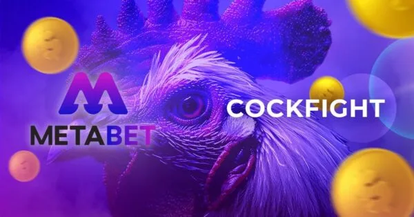 cockfight